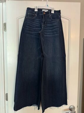 Carly Jean Los Angeles (CJLA) Chelsea wide leg jeans in size 1